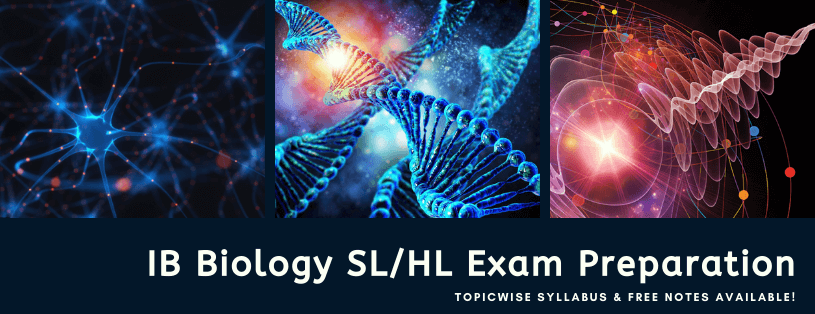 IB Biology SL/HL Exam Preparation 
